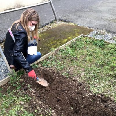 plante_ton_slip (3)