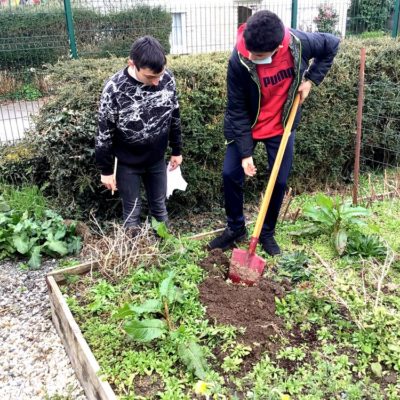 plante_ton_slip (6)