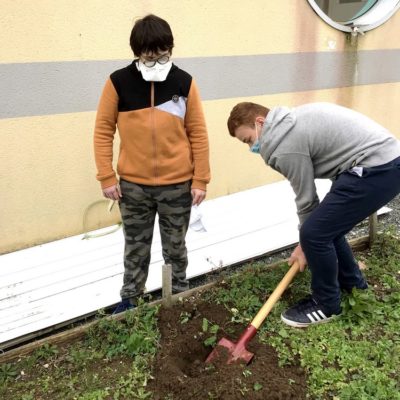 plante_ton_slip_2